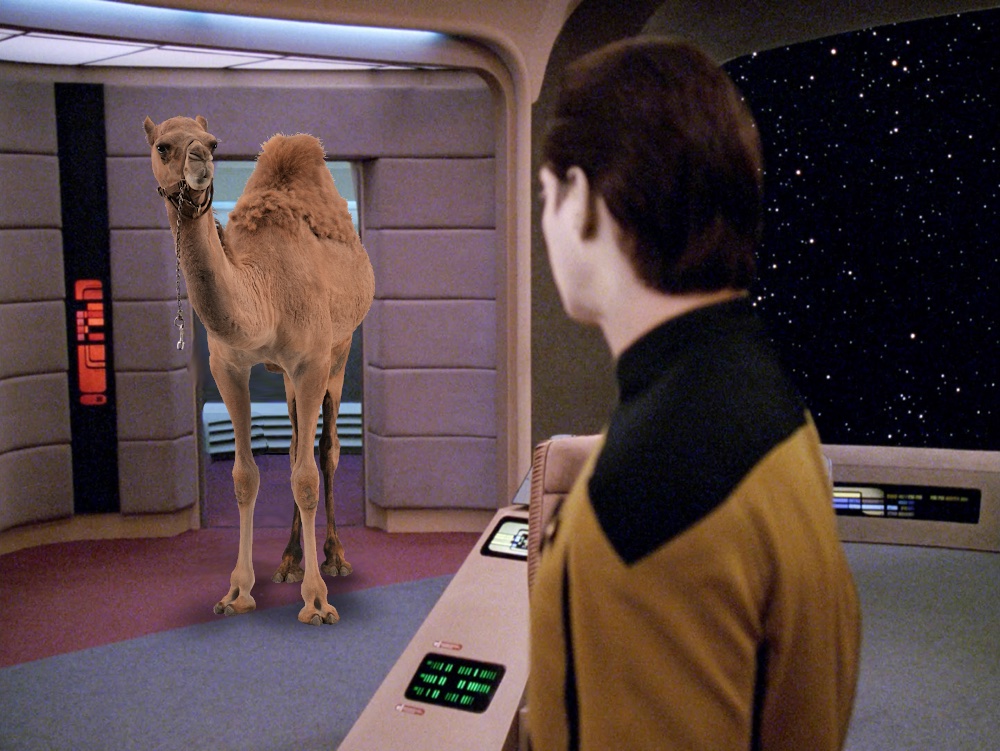 Star Trek Hump Day (Data Edition)