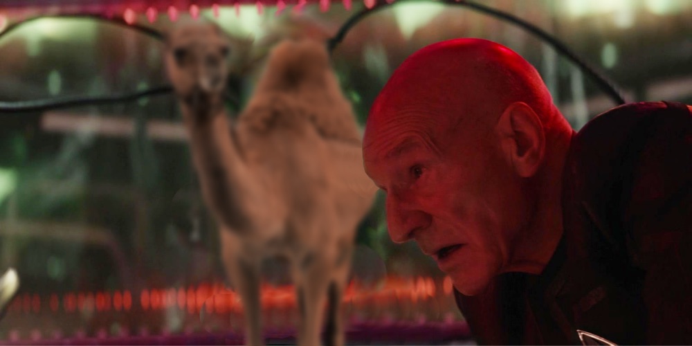 Star Trek Hump Day (Stargazer Edition)