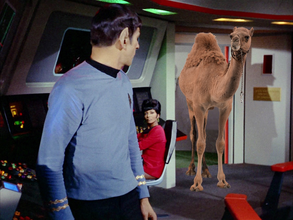 Star Trek Hump Day (Spock Edition)