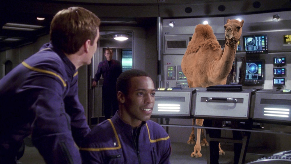 Star Trek Hump Day (Archer Edition)