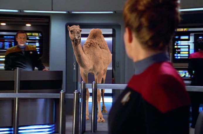 Star Trek Hump Day (Janeway Edition)