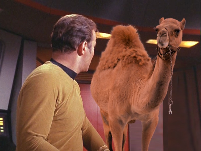 Star Trek Hump Day (Kirk Edition, Classic)