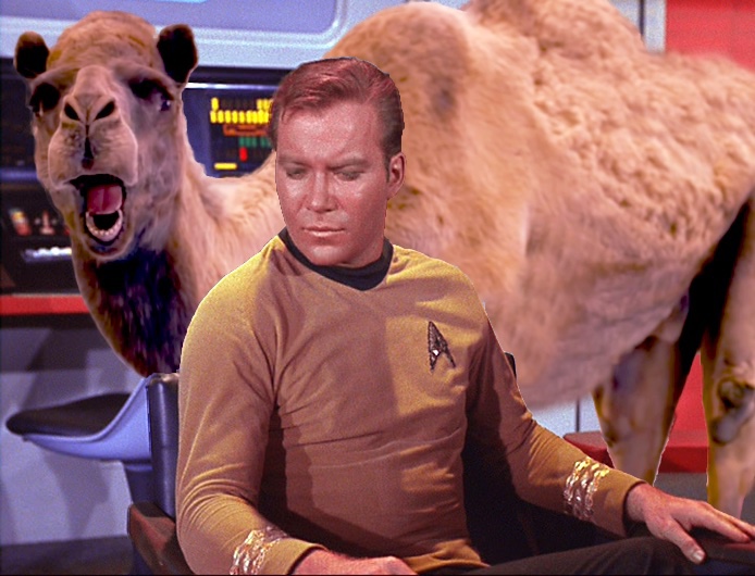 Star Trek Hump Day (Kirk Edition)