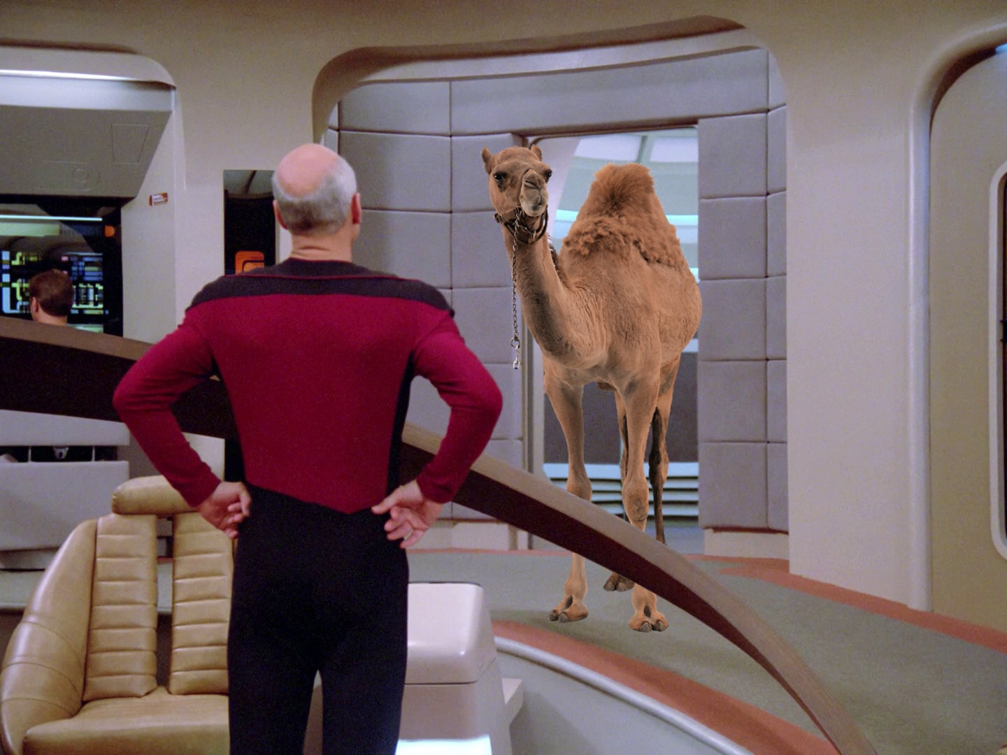 Star Trek Hump Day (Picard Edition Remastered)