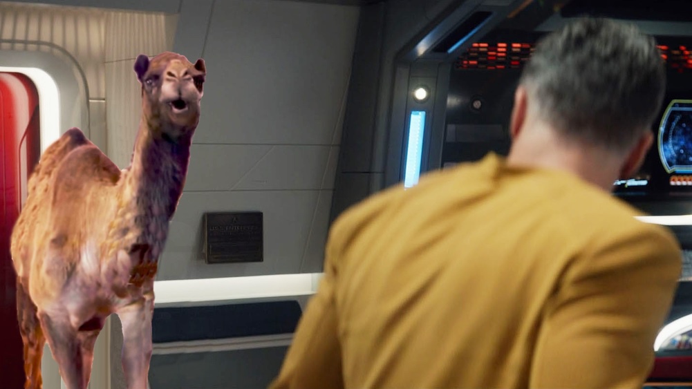 Star Trek Hump Day (Pike Edition, New)